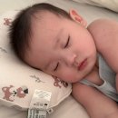 신생아부터 사용 가능한 니노필로우 두상베개 3개월 사용 후기 &amp; 두상변화