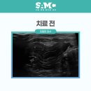 서울동물메디컬센터 이미지