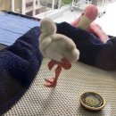 플라밍고