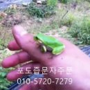 홍문슈퍼