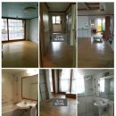 드림벨리 이미지