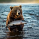 강원도황태해장국 | 인제 용대리 황태요리 맛집 황태명품관 황태구이정식 그리고 황태해장국 내돈내산 후기