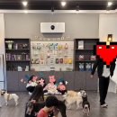 독크루북구점 이미지