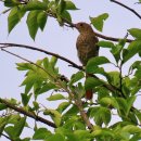 수토산방 이미지
