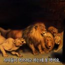 하바하바꾹 이미지