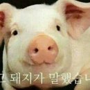 요다래