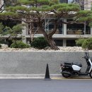앤트러사이트커피로스터스 이미지