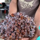 가향농장 이미지