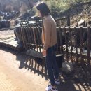 (주)엠.티.에스 이미지