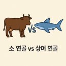 사임당약국 이미지
