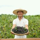 발품마케팅 티스토리