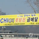 (진도 투데이 뉴스) SOCHI에서 못 받은 金메달 小癡가 드립니다 (진도개 한쌍은 상품으로,,,) 이미지