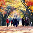 수성주공1차아파트 이미지