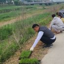 요도천변길 이미지