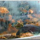 소문난횟집 이미지