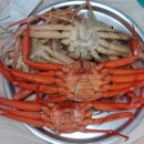 카네기2