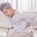 허리조아 이미지