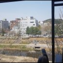섬데이제주 이미지