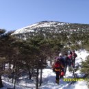 한라산백록담 이미지