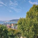 동화마을슈퍼 이미지