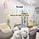 미사대한약국 | 미사왁싱 피치왁싱 | 예신필수준비 저통증 헤어라인왁싱 후기