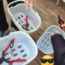 성산파라다이스힐 | 성산귤따기체험 내돈내산 성산파라다이스힐 감귤체험