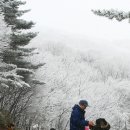 오산특사랑 이미지