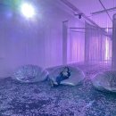 9월 4주차 주간일기 : 친구네 2박 3일 물금&amp;부산나들이, 부산전시, 애견카페