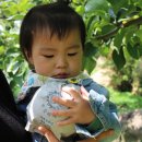 승민농장 이미지