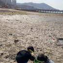 사곡해수욕장 이미지