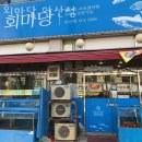 안산 와동 회포장 회마당 안산점 업체 정보 후기