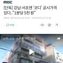 [단독] 강남·서초엔 '코디' 공시가격 있다.."1분당 5천 원" 이미지
