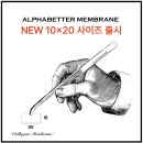 알파덴탈 | 알파베러 멤브레인 신사이즈 출시