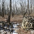 윗대티 등산로 이미지