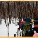 주목산장민박 이미지