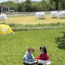 삼만목장 이미지