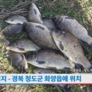 청도대구낚시(수릿대닷컴)