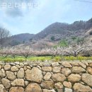 끌리다 풀빌라 | 전남풀빌라 끌리다풀빌라 오션뷰 여행 숙소 추천