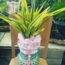 문성농장2 이미지