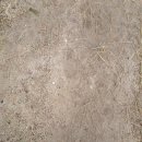 솔밭한의원 이미지