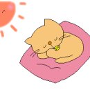 쉐이리민박 티스토리