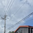 시우그리다 이미지