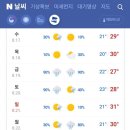 비비비마트 이미지