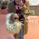 마이 몰 | 마이쉘 롯데월드몰 팝업 | 젤리피쉬 DIY 키링 체험으로 가꾸 완성!