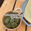 청룡텃밭 | 파주 아이랑 가기 좋은 곳 쑥체험 텃밭체험 애플샤인농원
