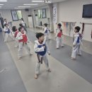 민족사관태권도 이미지