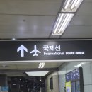 D마트이륙상사 | 도쿄 여행 코스 추천 | 3박 4일 도쿄 자유여행 후기 1,2일 (아사쿠사, 긴자, 도쿄타워, 신주쿠)