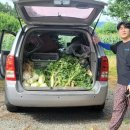 참한우본가 이미지