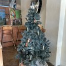 구암동145 | 대전카페 수우 _ 햇살맛집, 충남대 조용한카페 보리라떼 보리커피