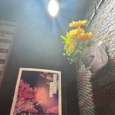 율이꼬치구이 | 광주 동명동 감성 이자카야 '동명로 15' 후기 🍶